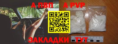 прущие грибы Ирбит
